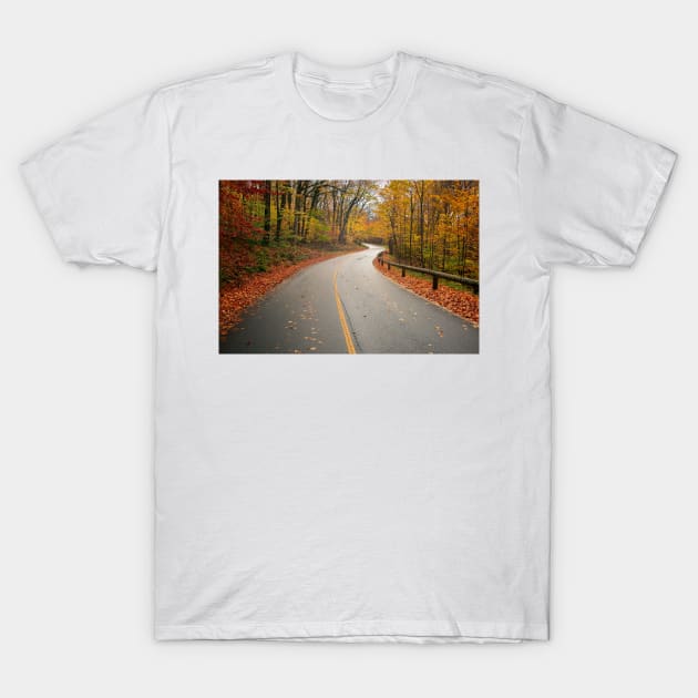 Forest Foliage in Autumn T-Shirt by jswolfphoto